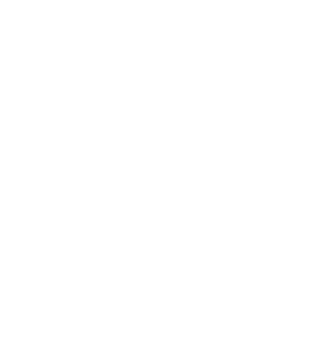 flowgeist