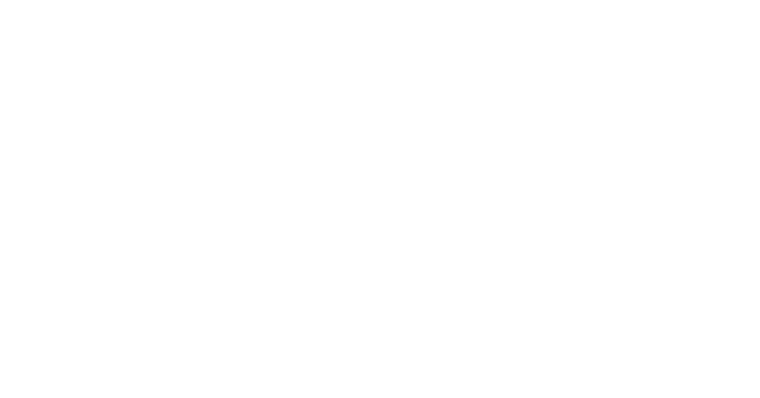 Flowgeist logo grey